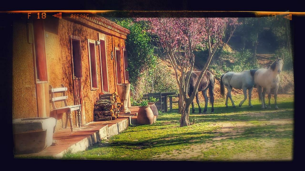 El Solei Paraiso En El Montseny Арбусьес Экстерьер фото